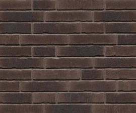 "Feldhaus Klinker" klinkerinės plytelės R745